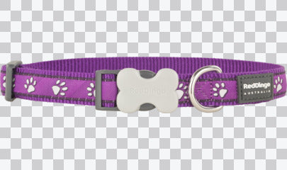 Buckle Bone Dog Collars - Design - Desert Paws
