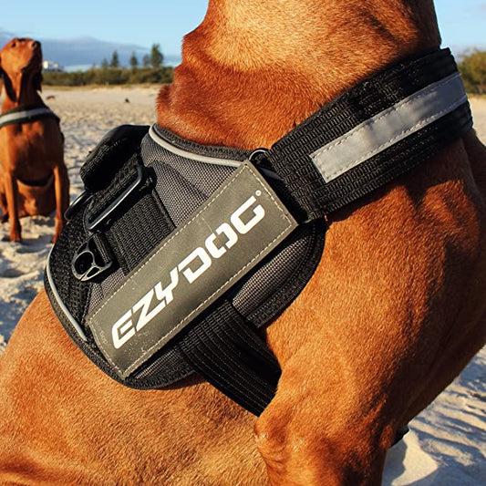 CONVERT/EXPRESS HARNESS™ BADGES
