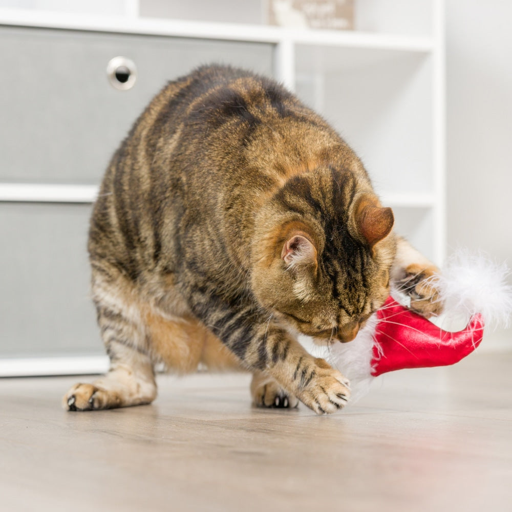 Santa Hat & Sweet Thing Candy 2pk Cat Toy - 30% Off