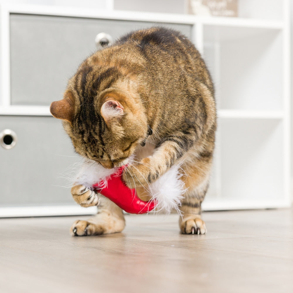 Santa Hat & Sweet Thing Candy 2pk Cat Toy - 30% Off