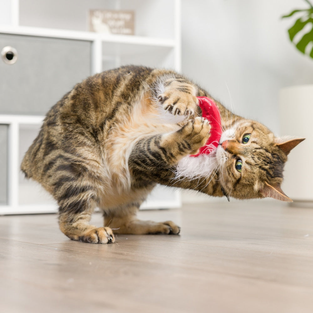 Santa Hat & Sweet Thing Candy 2pk Cat Toy - 30% Off