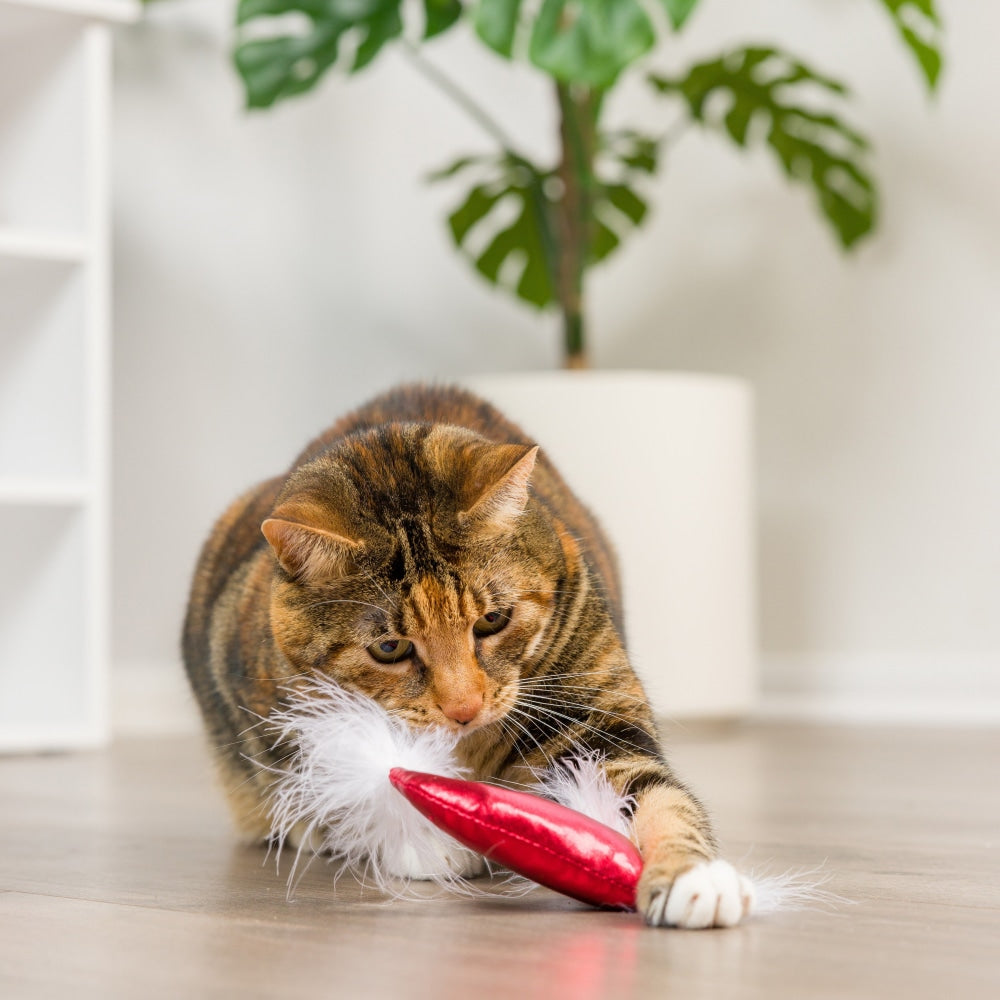 Santa Hat & Sweet Thing Candy 2pk Cat Toy - 30% Off