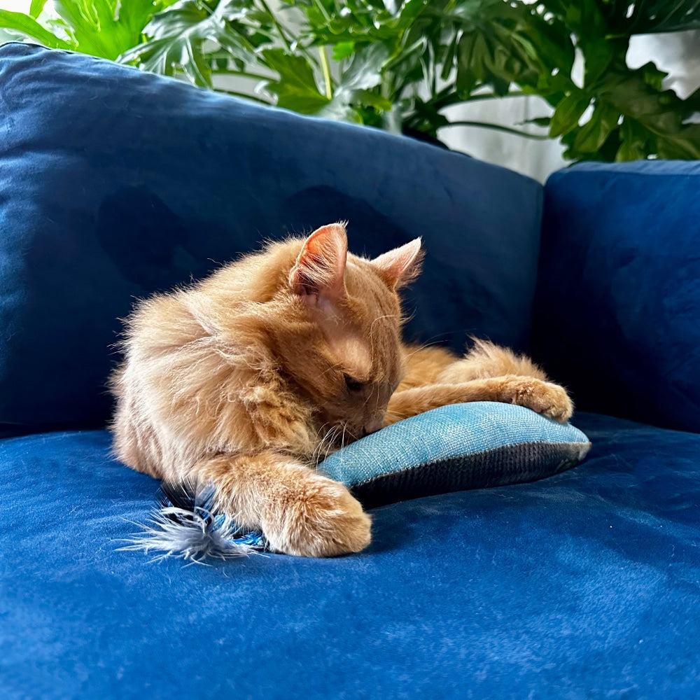 Sardine Kicker Cat Toy