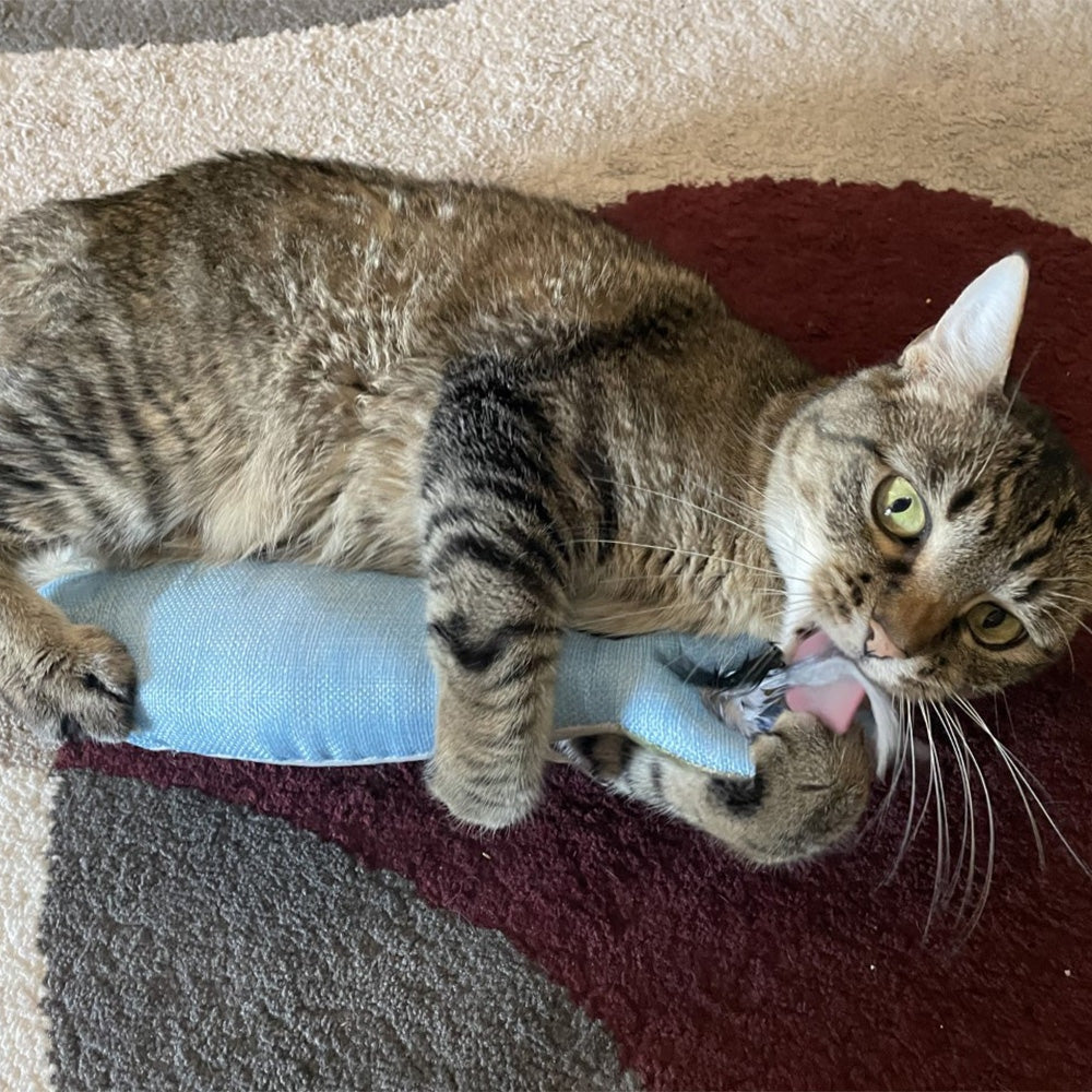 Sardine Kicker Cat Toy