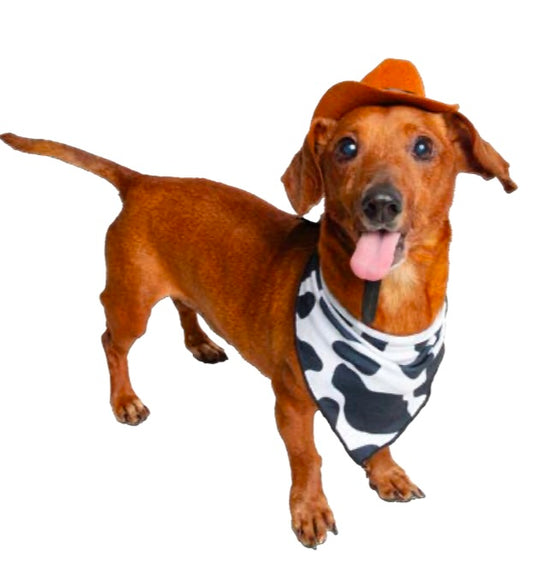 Cow Spot Bandana- Pack of 12
