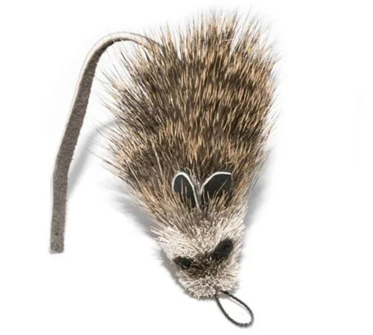 Da Rat Attachment