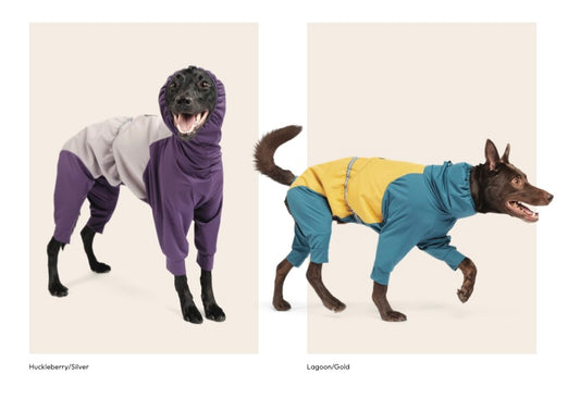 Ski Bunnies- Ski Suit