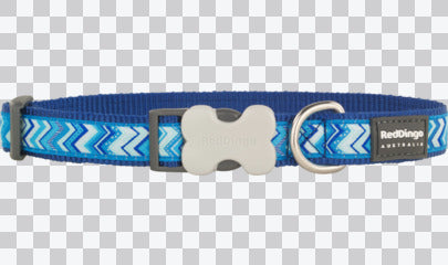 Buckle Bone Dog Collars - Design - Pizzazz