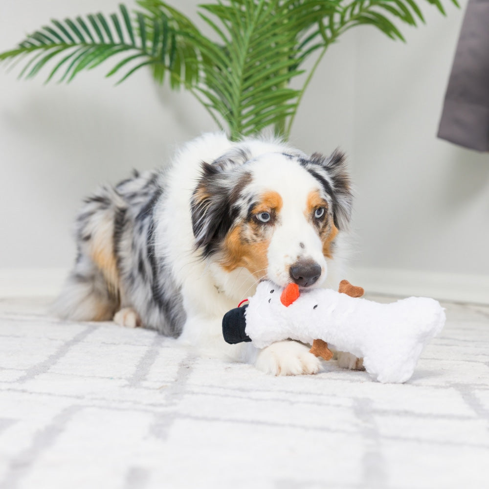 Snowman Bone Dog Toy