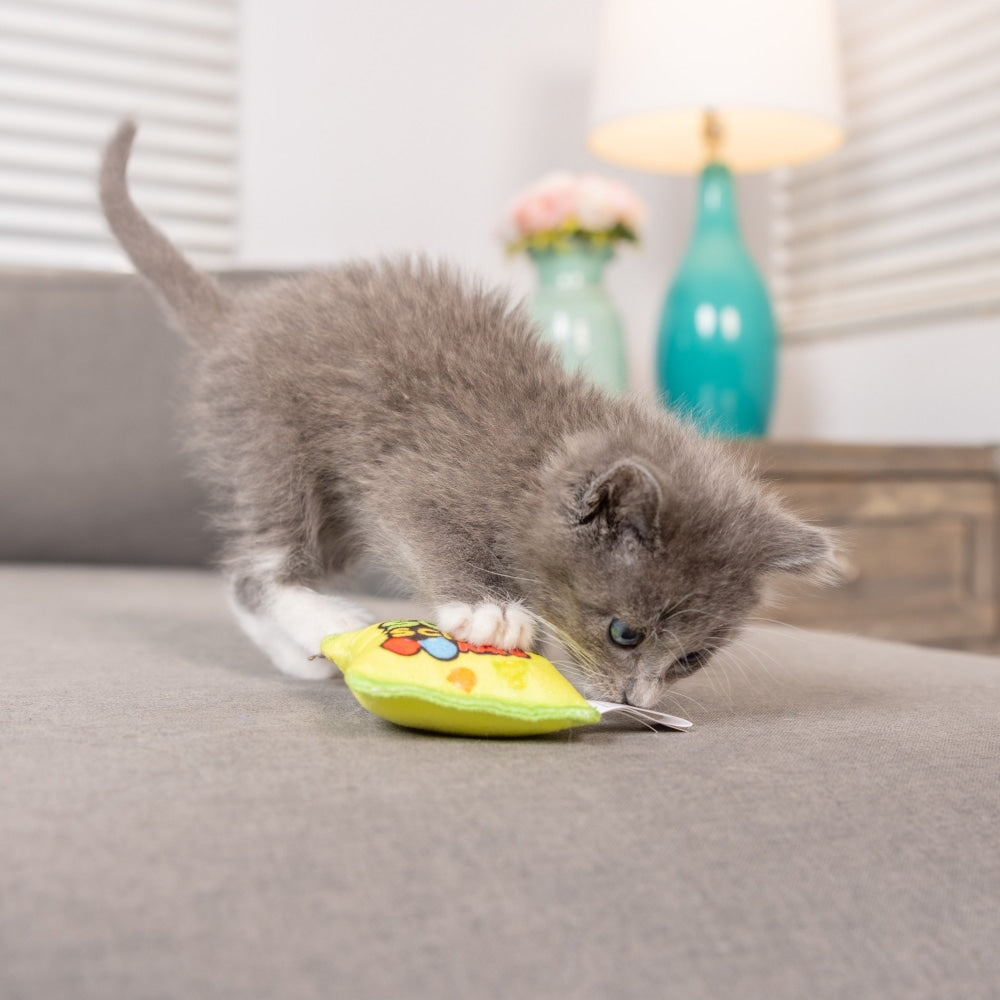 Sour Scratch Kats Cat Toy