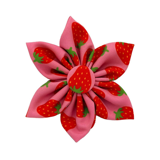 Strawberries Pinwheel