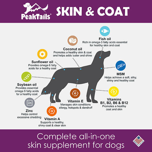 Skin & Coat