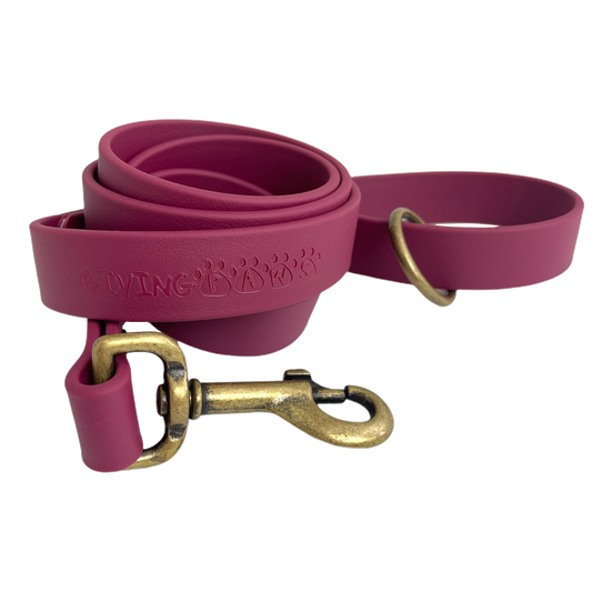 Vintage Vegan Leather Leash