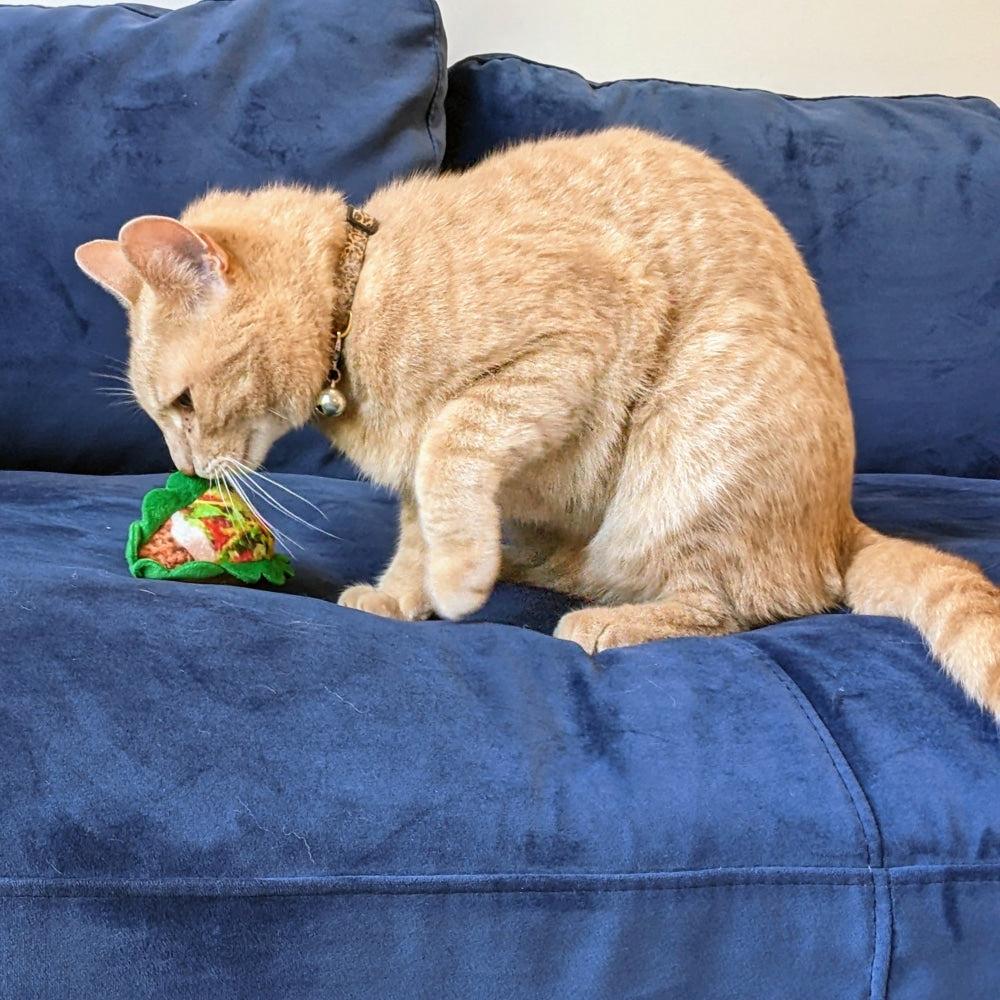 Taco Cat Toy