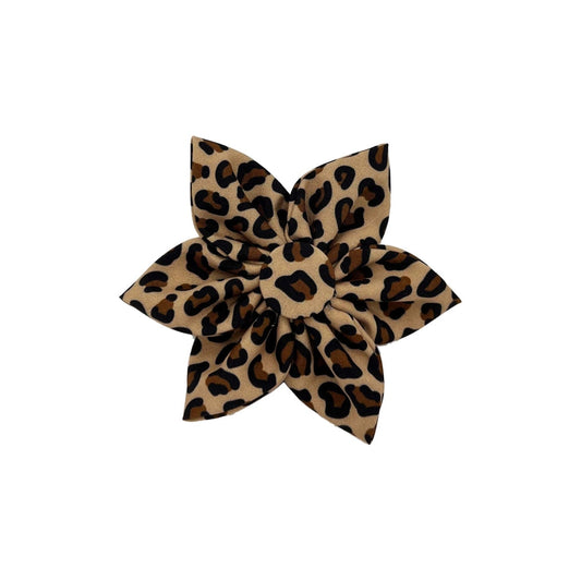 Tan Leopard Pinwheel - 30% Off