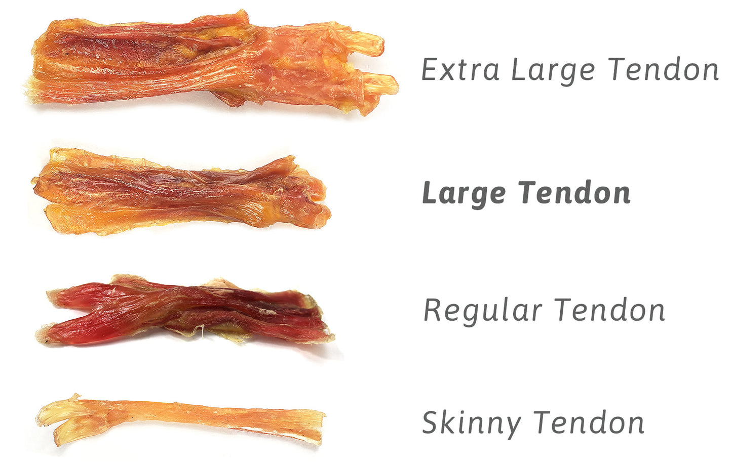 Large Beef Tendons (Bulk) - Pack of 25