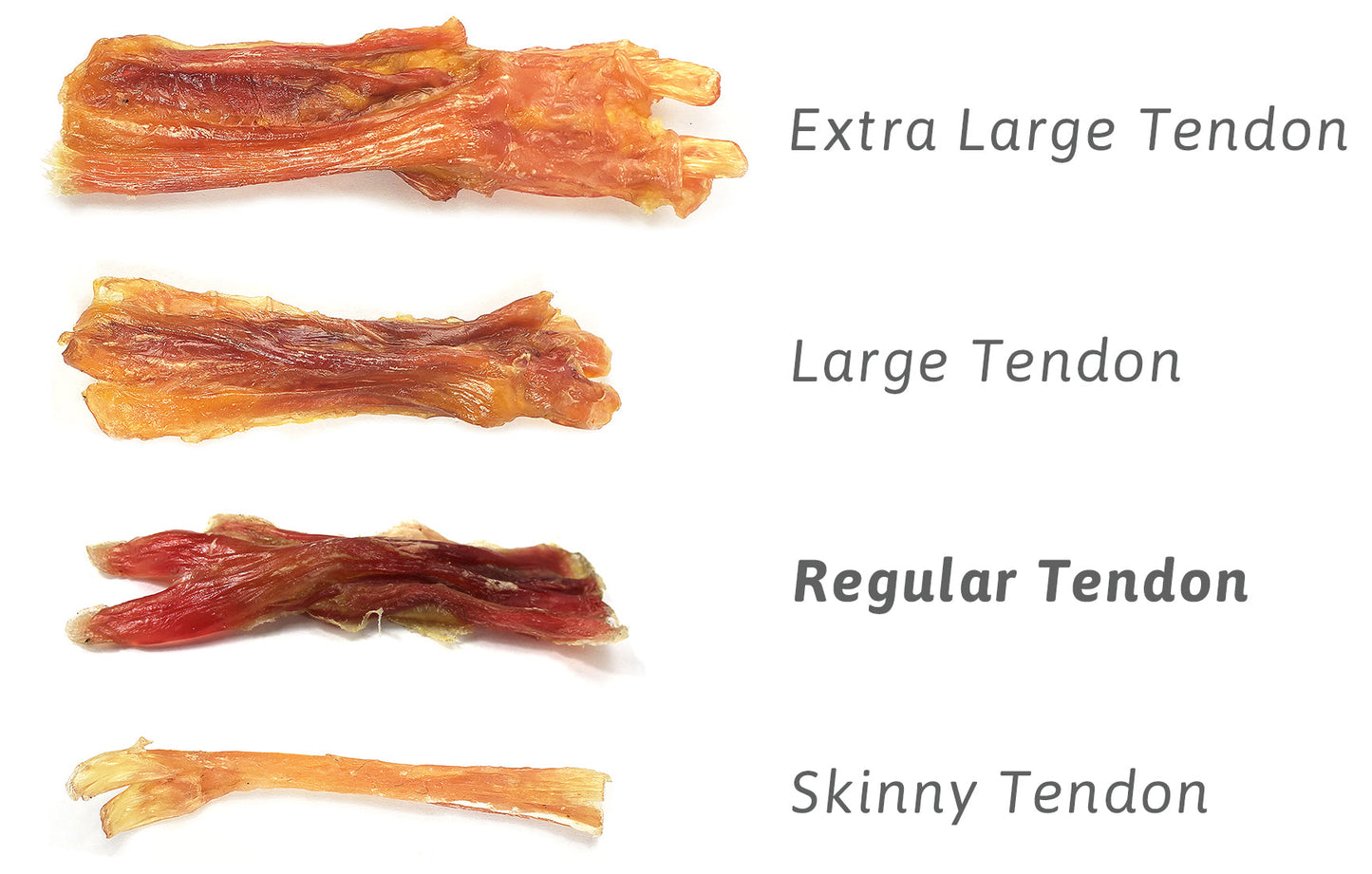 Regular Beef Tendons (Bulk)- Pack of 25