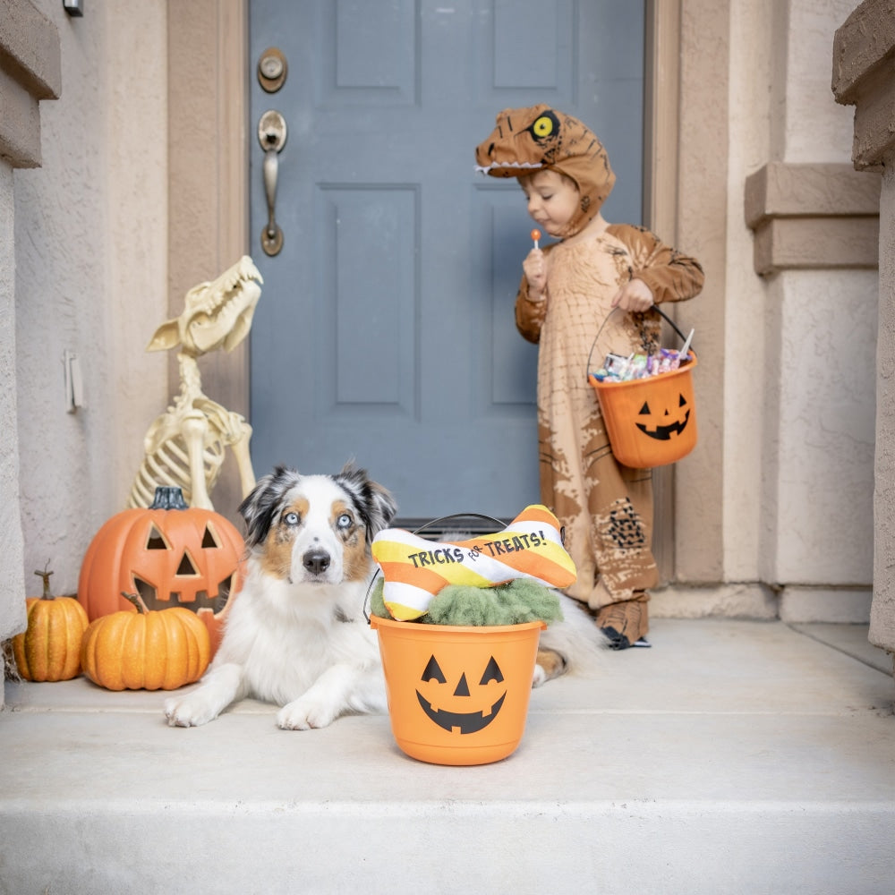Tricks for Treats Bone Dog Toy