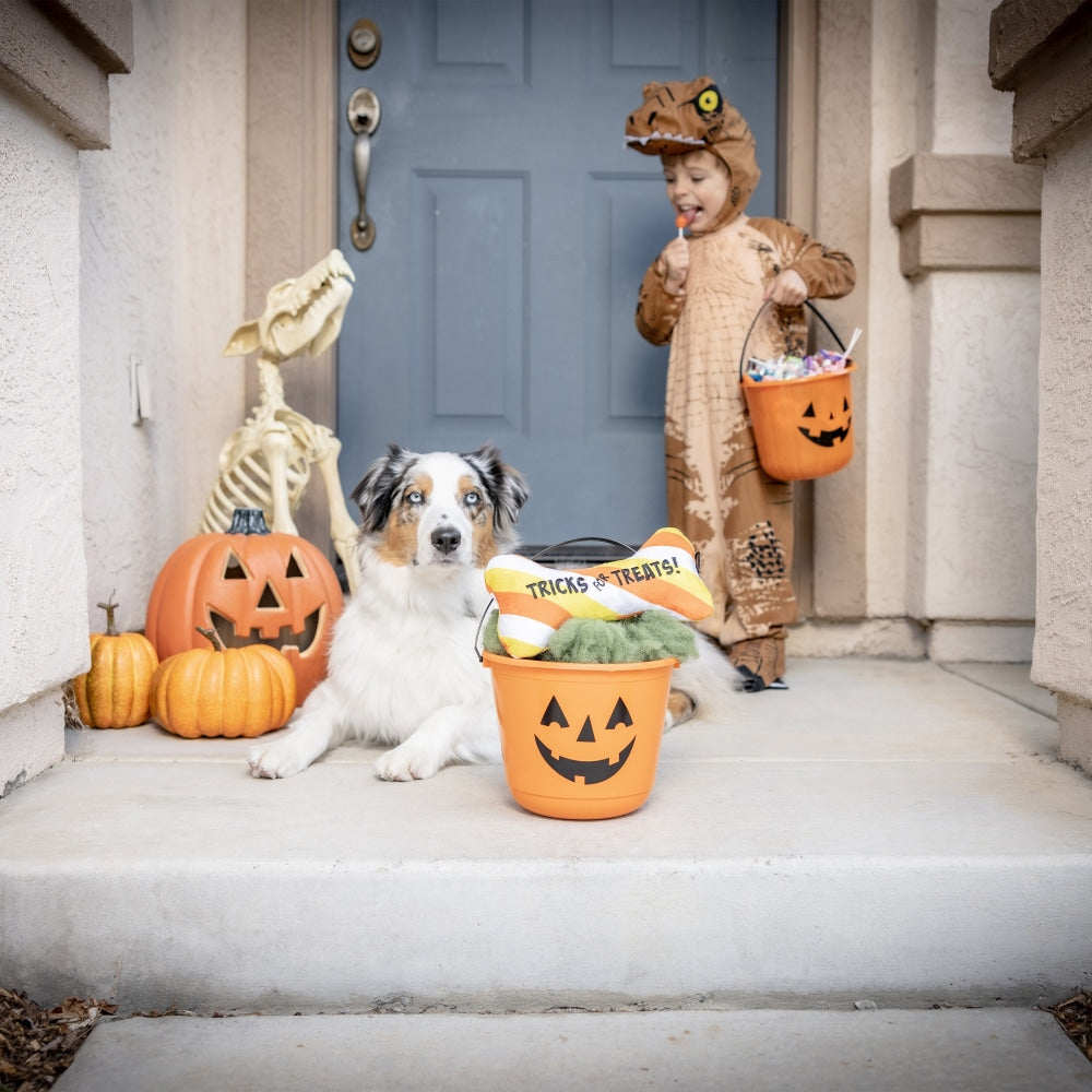Tricks for Treats Bone Dog Toy