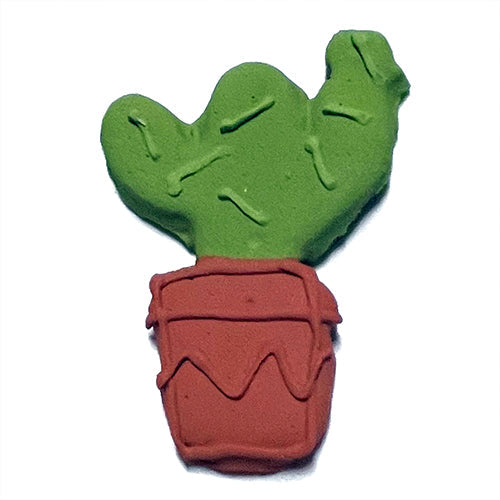 Cactus (Regional) Case of 12