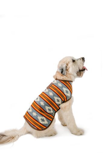 Dog wearing a grey and orange patterned fleece vest