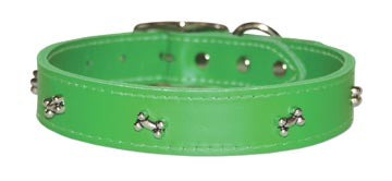 Green dog collar with bone studs