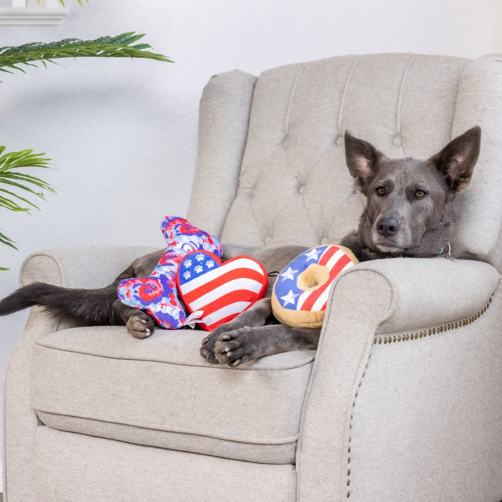 USA Pup Bone Dog Toy - 30% Off