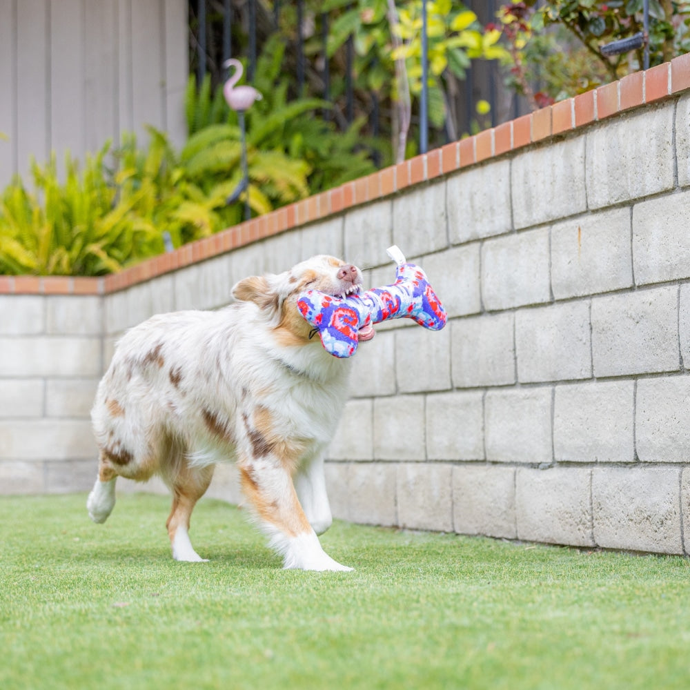 USA Pup Bone Dog Toy - 30% Off