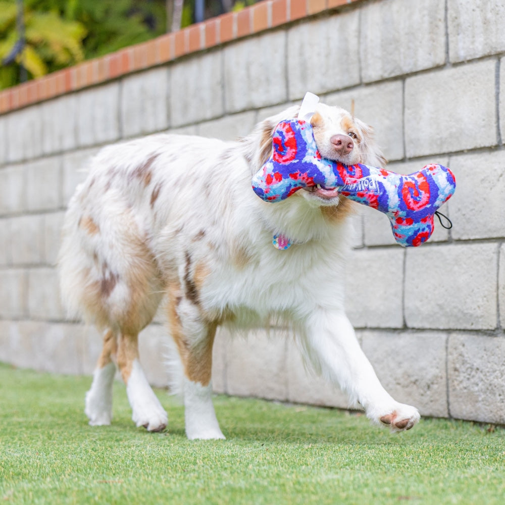 USA Pup Bone Dog Toy - 30% Off