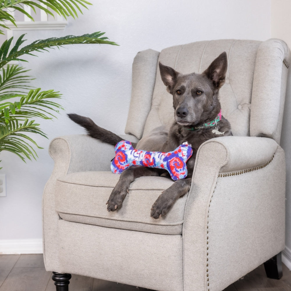 USA Pup Bone Dog Toy - 30% Off