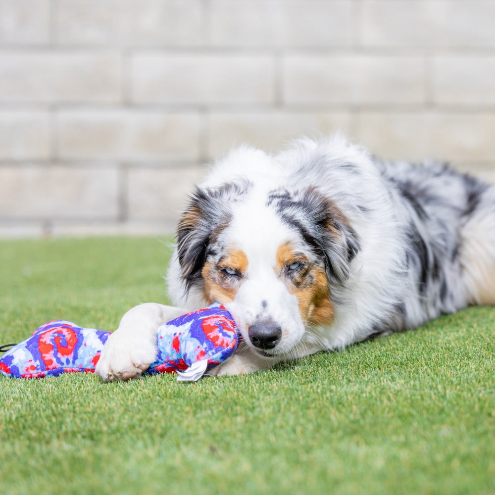 USA Pup Bone Dog Toy - 30% Off