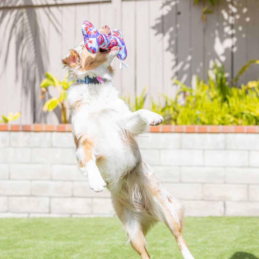 USA Pup Bone Dog Toy - 30% Off
