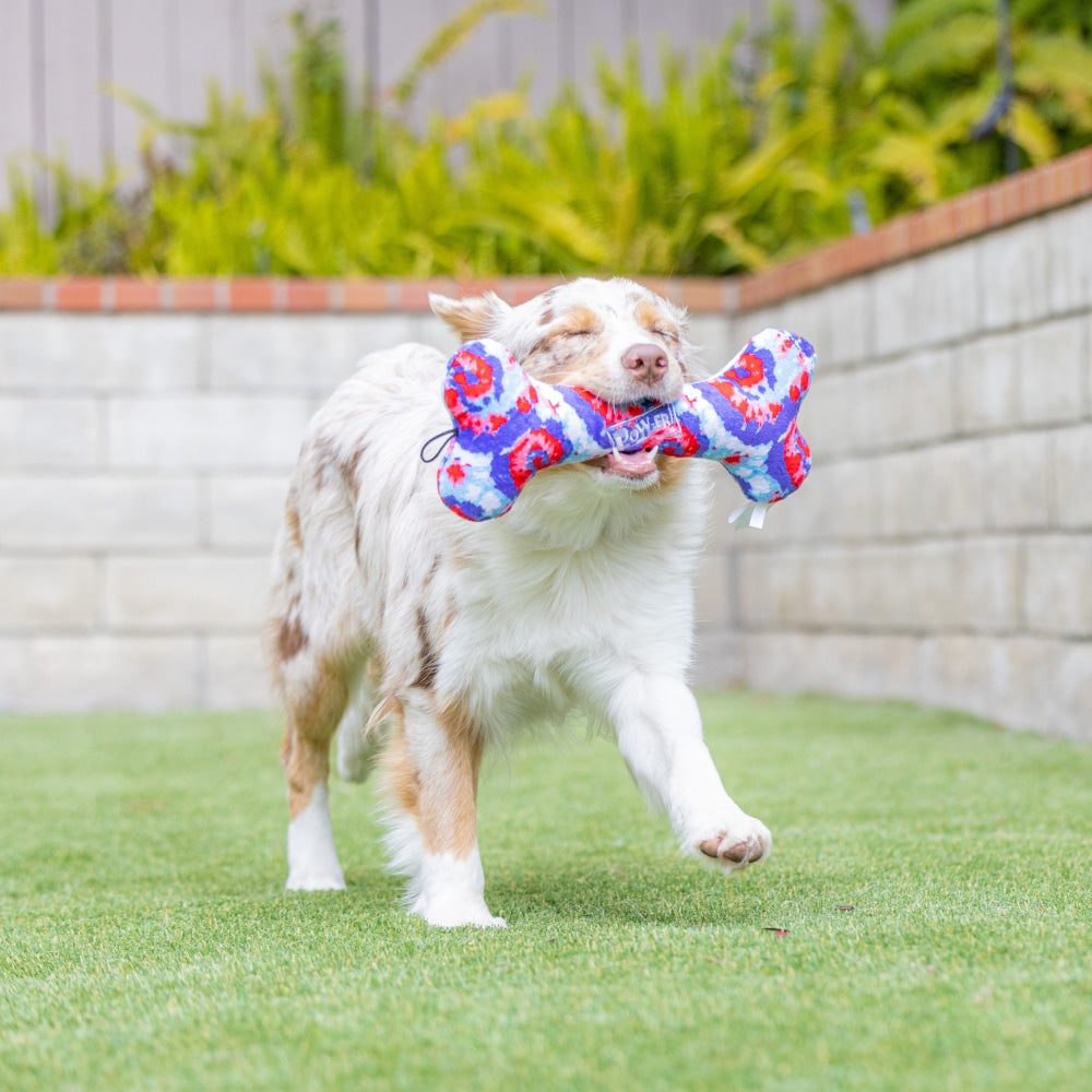 USA Pup Bone Dog Toy - 30% Off