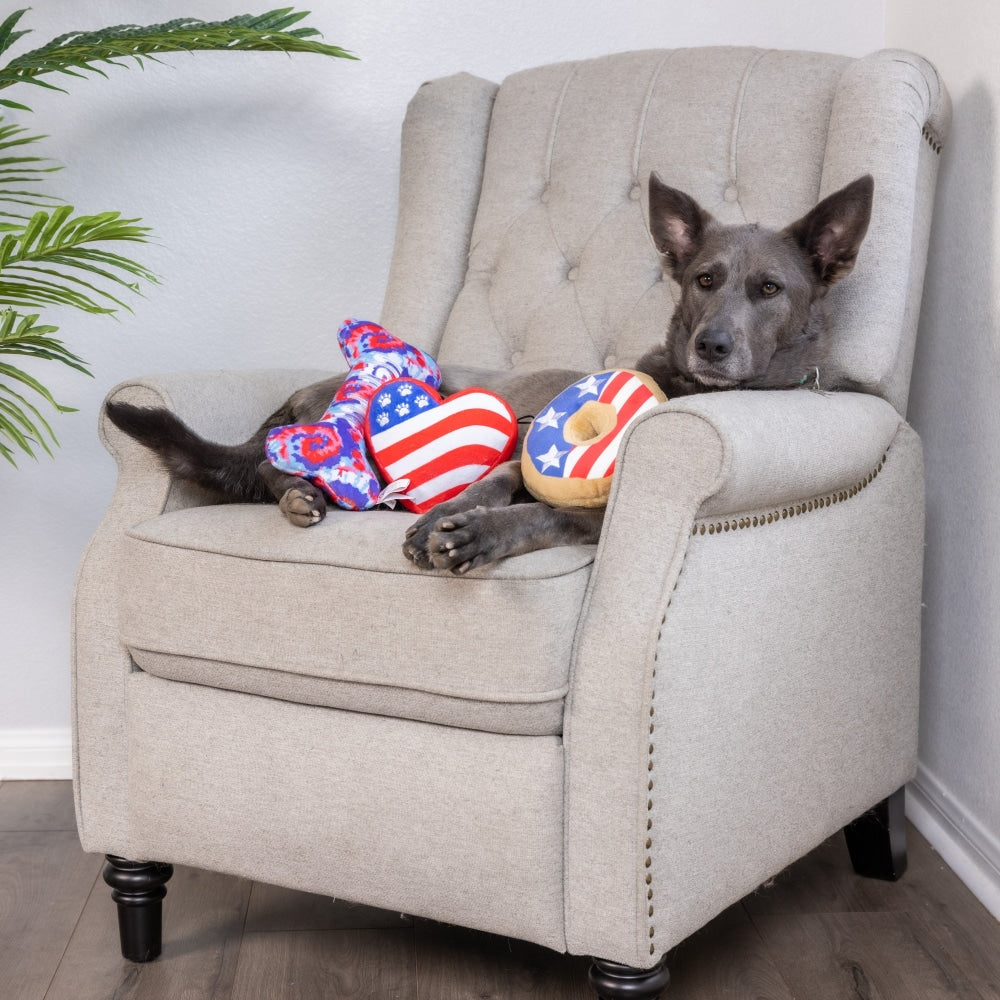USA Pup Bone Dog Toy - 30% Off