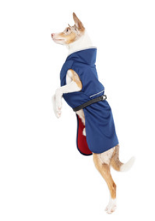 RainPaw II