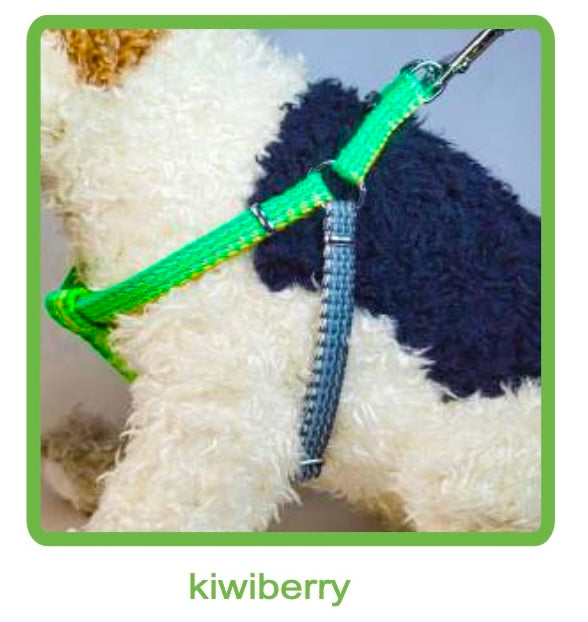 Dog Harness- Haight Ashberry Reflective