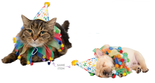 Celebration/Birthday Hat & Collar