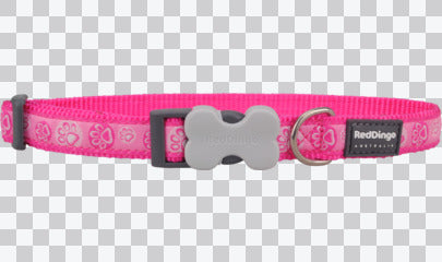Buckle Bone Dog Collars - Paw Impressions