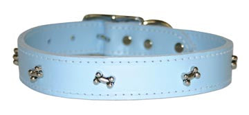 Light blue dog collar with silver bone studs
