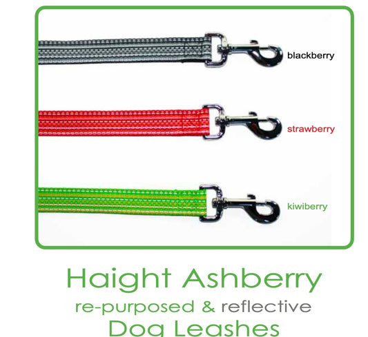 Dog Leash - Haight Ashberry Repurposed & Reflective