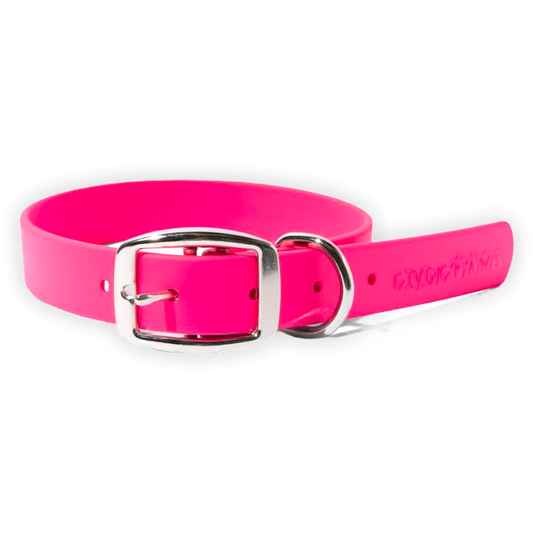 Bright & Bold Vegan Leather Collar