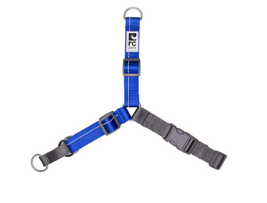 RC Pets primary blue and grey dog harness with metal rings and plastic buckles