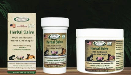 Herbal Salve