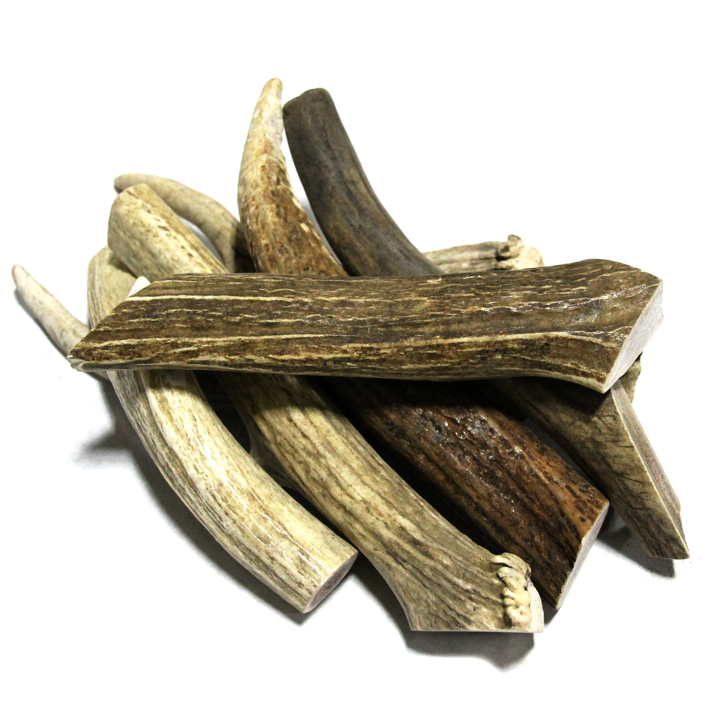 Elk Antler - Medium Whole- EACH