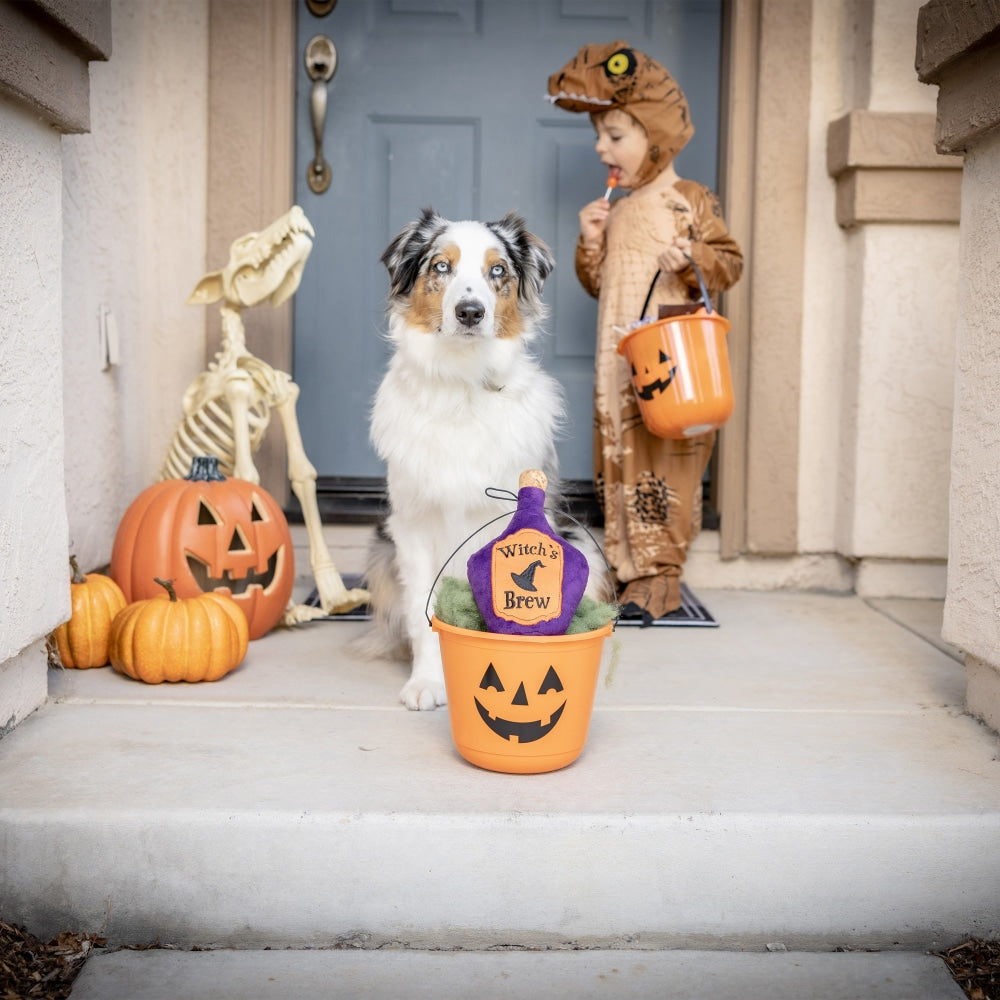Witch's Brew Dog Toy - 30% Off