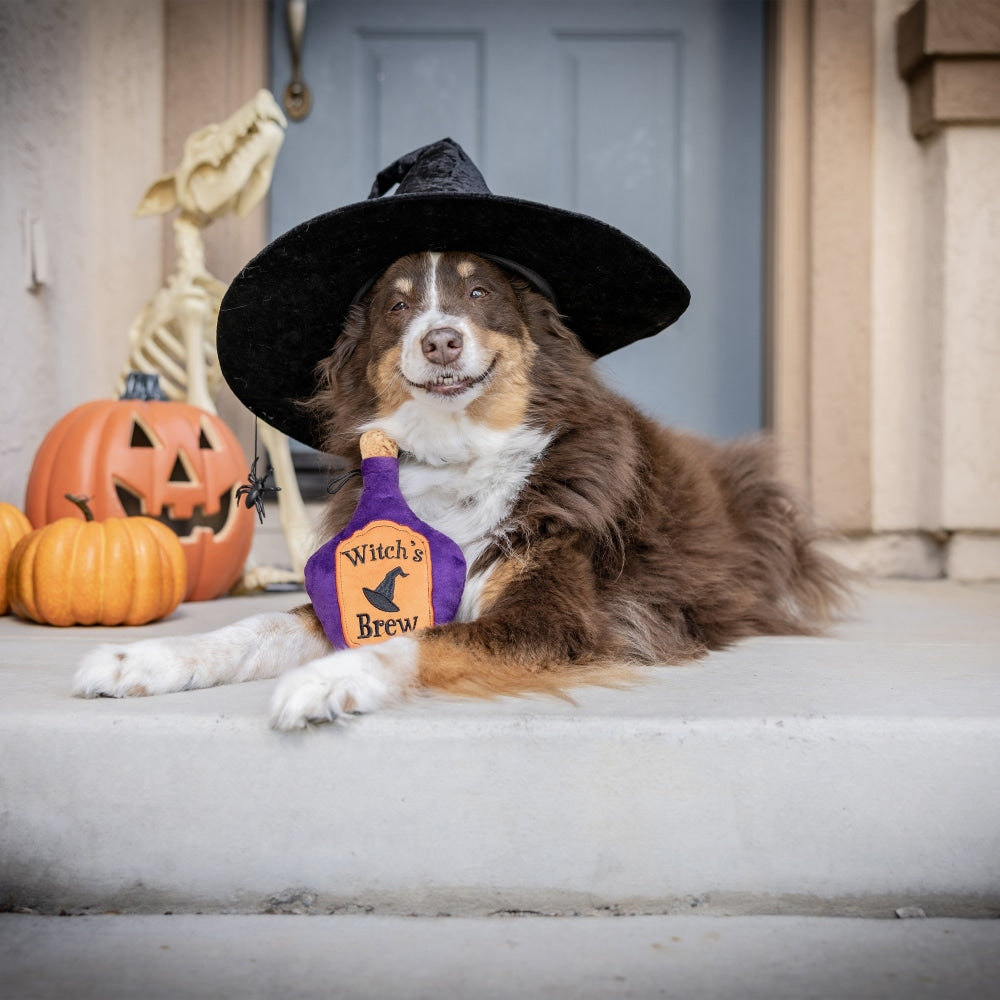 Witch's Brew Dog Toy - 30% Off