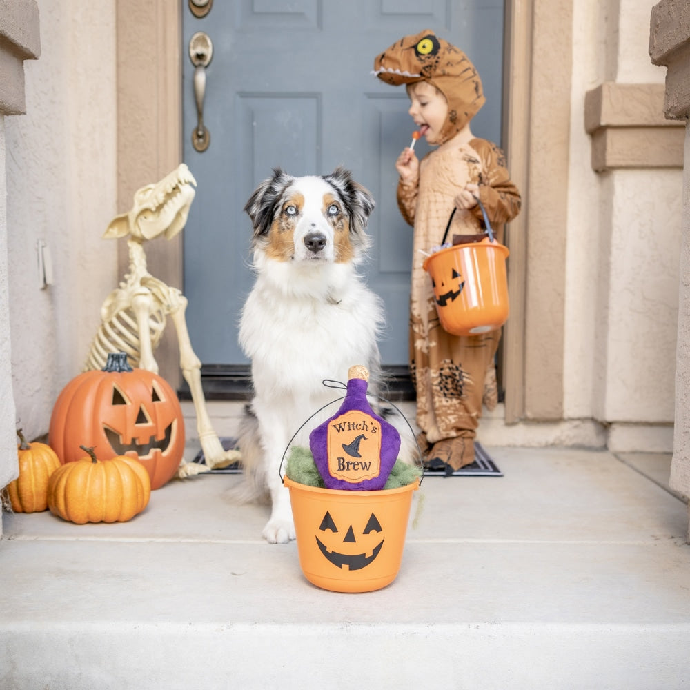 Witch's Brew Dog Toy - 30% Off