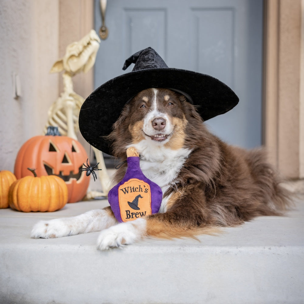 Witch's Brew Dog Toy - 30% Off