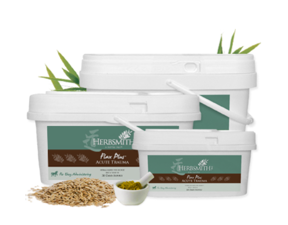 Herbsmith Flax Plus Acute Trauma supplement containers with flax seeds and a small bowl of powder