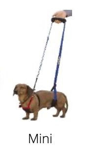 GingerLead- Dog Support & Rehabilitation Harnesses